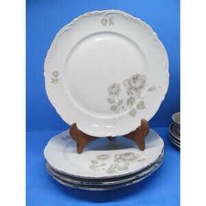 Mitterteich Bavaria Germany Mystic Rose Dinner Plate Platinum Trim Bundle of 4